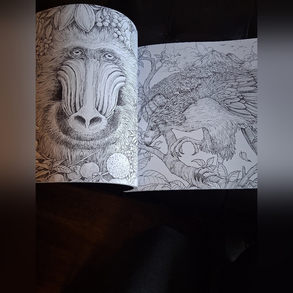 Fragile World Advanced Coloring Book For Adults, With Colored Pencils - Picture 5 of 8